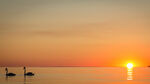 Sonnenuntergang über der von Ostsee Poel